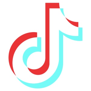 tiktok icon